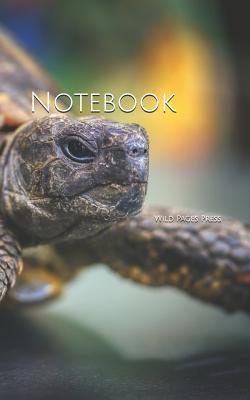 Download Notebook: Turtle Armoured Reptile Tortoise Shell Slowly -  file in PDF