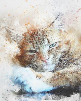 Download 2019-2020 Academic Planner Weekly and Monthly Cuddly Cat - Zone365 Creative Journals file in ePub