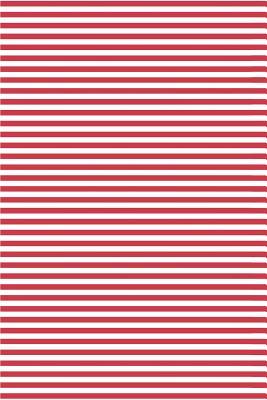 Read Patriotic Pattern United States of America 100: Blank Lined Notebook for Patriots and Locals - Merica Publications file in ePub