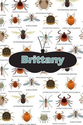 Download Brittany: Bug Insect Draw and Write Journal Notebook 120 Pages 6x9 -  file in PDF