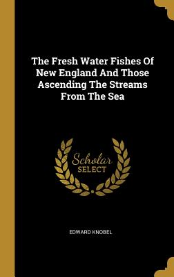Read online The Fresh Water Fishes Of New England And Those Ascending The Streams From The Sea - Edward Knobel file in ePub